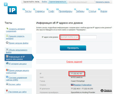 Информация об IP адресе или домене